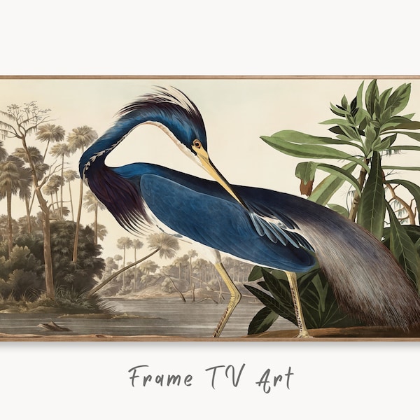 Samsung Frame TV Art 4K Blue Heron Tropical Bird Vintage Painting. Samsung TV Art Vintage. Digital Download. Nature Art for Samsung Frame TV