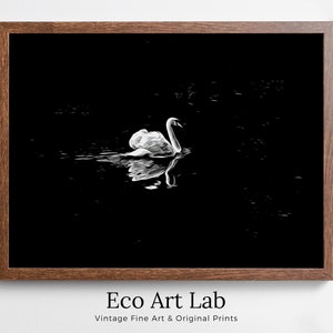 Swan in Dark Waters Printable Wall Art, for Home or Office Decor, Animal Painting Nature Print Digital Art Instant Download, Black and White