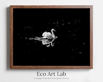 Swan in Dark Waters Printable Wall Art, for Home or Office Decor, Animal Painting Nature Print Digital Art Instant Download, Black and White