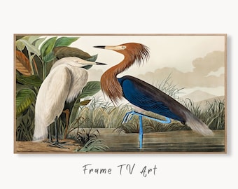 Samsung Frame TV Art 4K Two Herons Tropical Bird Vintage Painting. Samsung TV Art Vintage. Digital Download. Nature Art for Samsung Frame TV