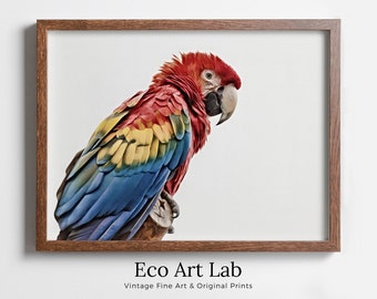 Parrot Printable Wall Art, Tropical Bird Digital Painting, Instant Download Exotic Poster Scarlet Macaw Print