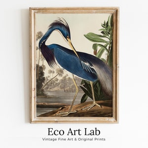 Arte de pared imprimible de pájaro tropical vintage de garza azul. Decoración tropical colorida de la naturaleza de la vida silvestre. Descarga instantánea cartel de pájaro impresión vertical