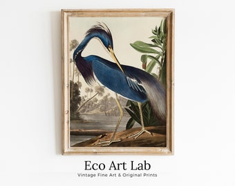 Blue Heron Vintage Tropical Bird Printable Wall Art. Wildlife Nature Colorful Tropical Decor. Instant Download Bird Poster Vertical Print