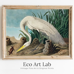 Arte de pared imprimible de pájaro tropical vintage de garza blanca. Decoración de pájaros tropicales coloridos de la naturaleza y la vida silvestre. Descarga instantánea. Póster de pájaro