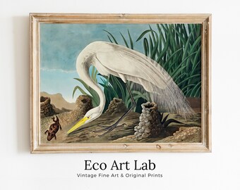 White Heron Vintage Tropical Bird Printable Wall Art. Wildlife Nature Colorful Tropical Bird Decor. Instant Download. Bird Poster Art Print