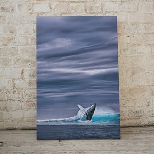 May include: A canvas print depicting a whale breaching the ocean's surface. The whale is dark blue and white, with its flippers extended. The water is a vibrant turquoise, contrasting with the dark blue sky and clouds. The artwork is displayed against a white brick wall.