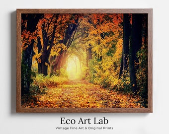Autumn Forest View Landscape Digital Painting. Printable Fall Wall Art. Home or Office Decor, Nature Print Digital Art Instant Download