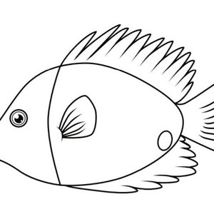 Fish Coloring Pages Fish Template 21 Printable Coloring Pages image 3
