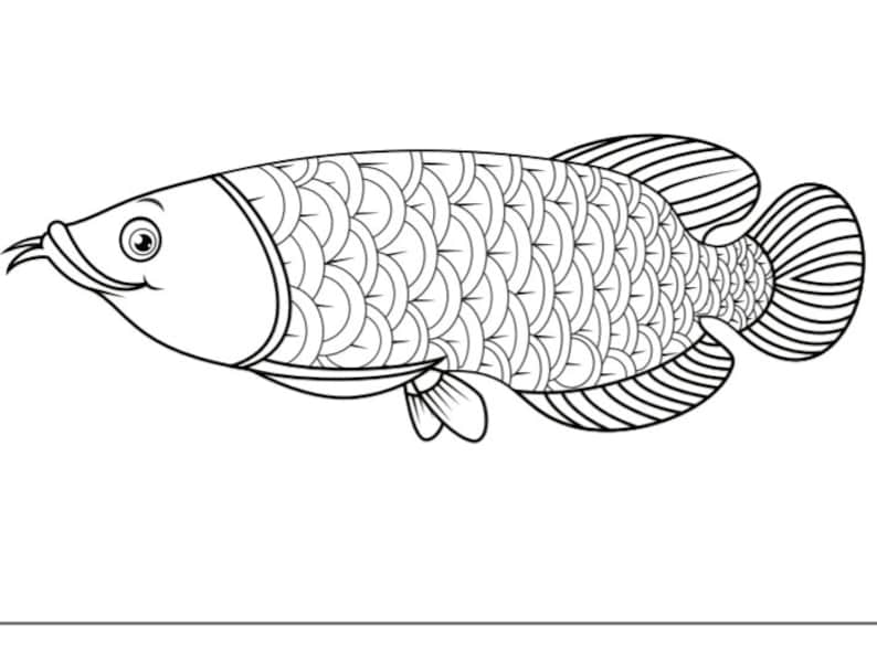 Fish Coloring Pages Fish Template 21 Printable Coloring Pages image 7