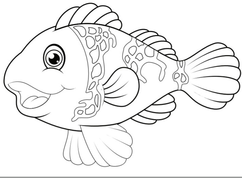 Fish Coloring Pages Fish Template 21 Printable Coloring Pages image 8