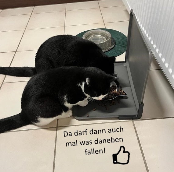Spritzschutz für Futterstation Futternapf für Hund und Katze NEU und  NÜTZLICH - .de