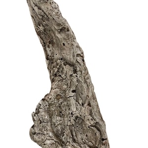 Driftwood Sculpture