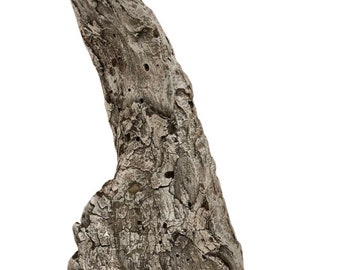 Driftwood Sculpture