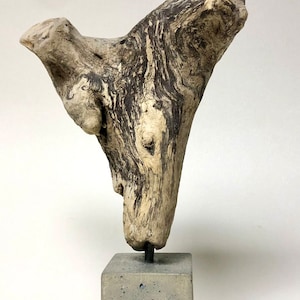 Driftwood Sculpture