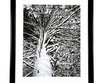 Black and White Photography