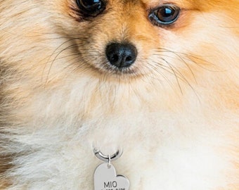 Pet ID Tag for Dog and Cat