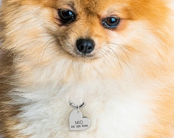Pet ID Tag for Dog and Cat
