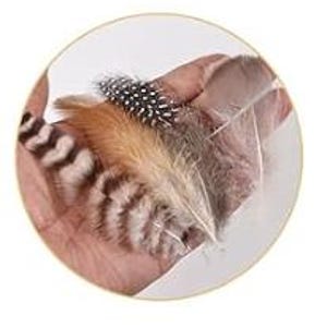 May include: A close-up of a hand holding a variety of feathers. The feathers are in shades of brown, white, and black, with patterns including stripes and spots. The feathers vary in size and texture, with some appearing soft and fluffy.