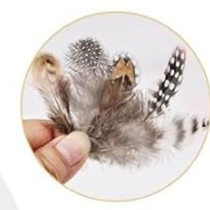 May include: Close-up of a hand holding a collection of decorative feathers. The feathers are in shades of gray, brown, and white, with speckled and patterned details. Some feathers have a fluffy texture, while others are more structured.