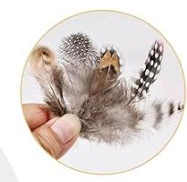 May include: Close-up of a hand holding a collection of decorative feathers. The feathers are in shades of gray, brown, and white, with speckled and patterned details. Some feathers have a fluffy texture, while others are more structured.