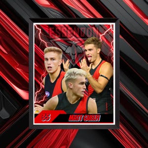 Matt Guelfi AFL Digital print - Essendon Football Club - AFL - Aussie Rules - Wall Art - Footy - The Bombers -