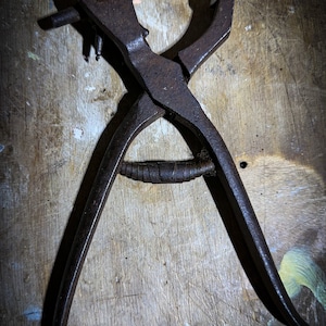 May include: A vintage, rusty, metal leather punch tool with a star-shaped head and a long handle. The tool is lying on a wooden surface.