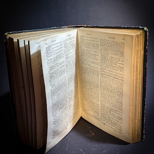 May include: An open antique book with yellowed pages and a black leather cover. The book is open to pages with text in German. The text on the pages is "Typographie" and "Typographen".