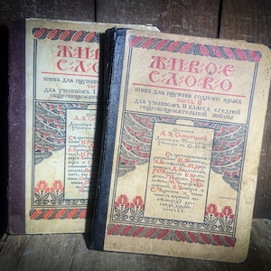 Tsaristisch kinderboek | Russische sprookjes, gedichten, romans en educatieve teksten | Nicolaas II-tijdperk Russisch rijk antiek | Tsarisme
