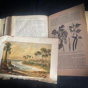 Antique 19th Century Book, Old Botany Book, Tsar Era Book,Biology Textbook, Tsarist Russia, 1890s Russian Imperial Memorabilia, Plant Life,