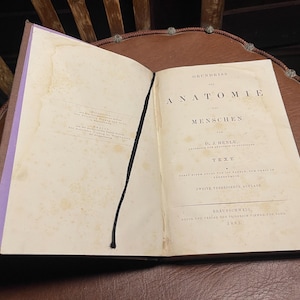 1920年 ドイツ語解剖学書 人体図譜 アンティーク医学書 ドイツのアンティーク医学書、ケーニッヒ・ラートゲバー博士