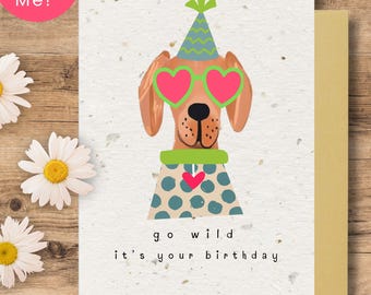 Biglietto di compleanno piantabile per amanti dei cani - Carta ecologica con semi - Biglietto di compleanno carino e divertente per cani - Biglietto con fiori selvatici