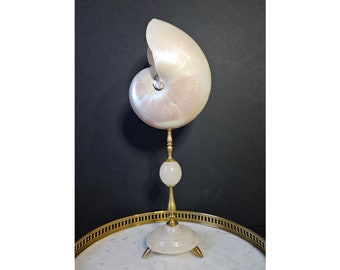Nautilus Nautilus Pearly, Messingsockel und weißer Marmor (19. Jahrhundert) H: 36 cm | Kuriositätenkabinett | PlaceOddity