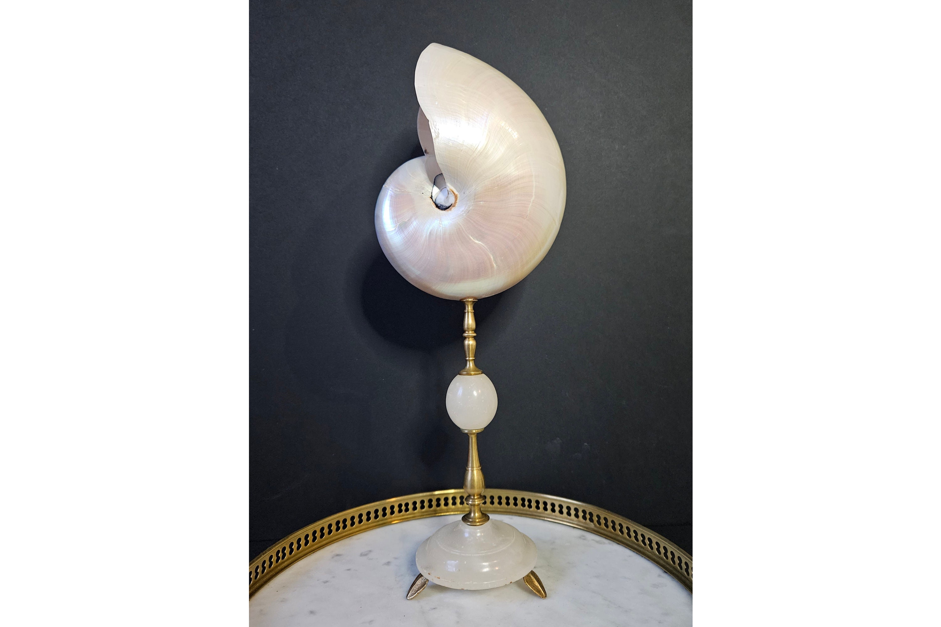 Vintage French Large Heavy Brass Nautilus Sea Shell Desk Standing