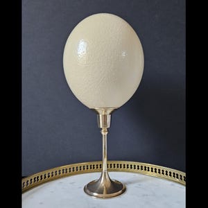 Œuf D'Autruche Sur Socle En Laiton Et Marbre Noir - Fin XIXème - Objet Décoratif 23 Cm