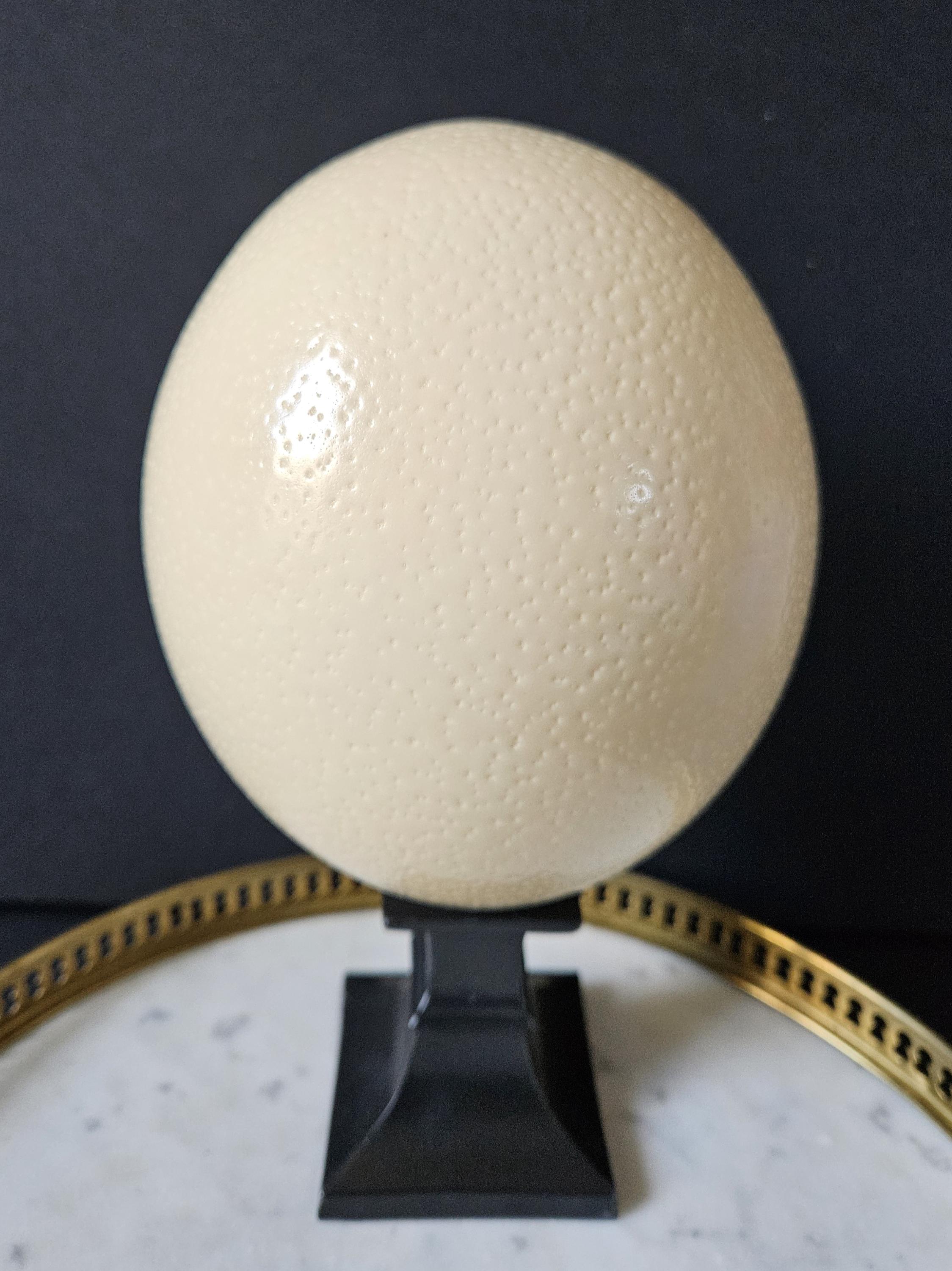 Œuf D'Autruche Sur Socle En Laiton Et Marbre Noir - Fin XIXème - Objet Décoratif 23 Cm