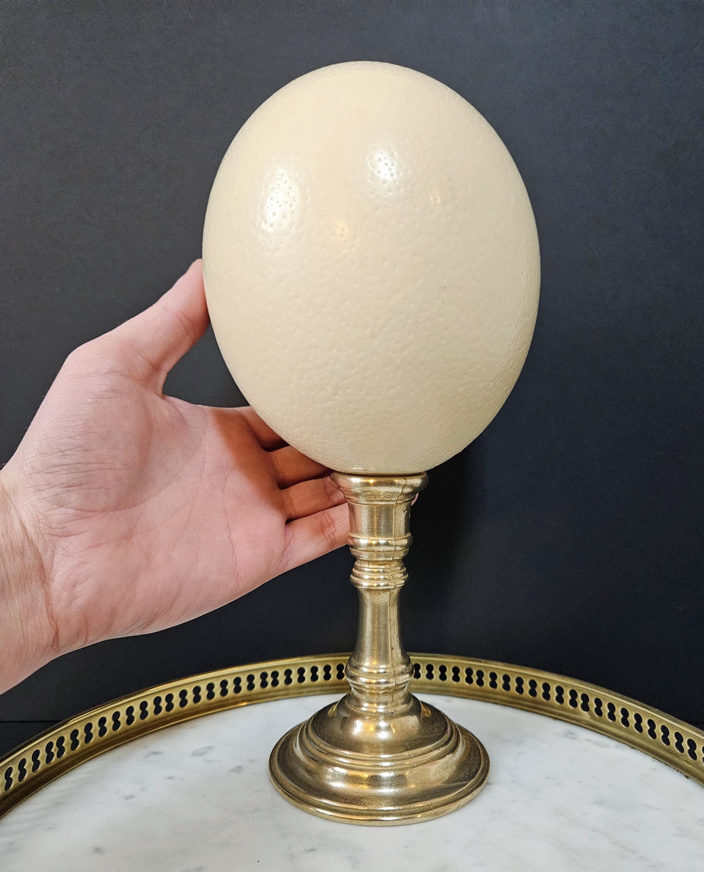 Œuf D'Autruche Décoratif Sur Socle En Laiton - XXe Siècle - Hauteur 28 Cm