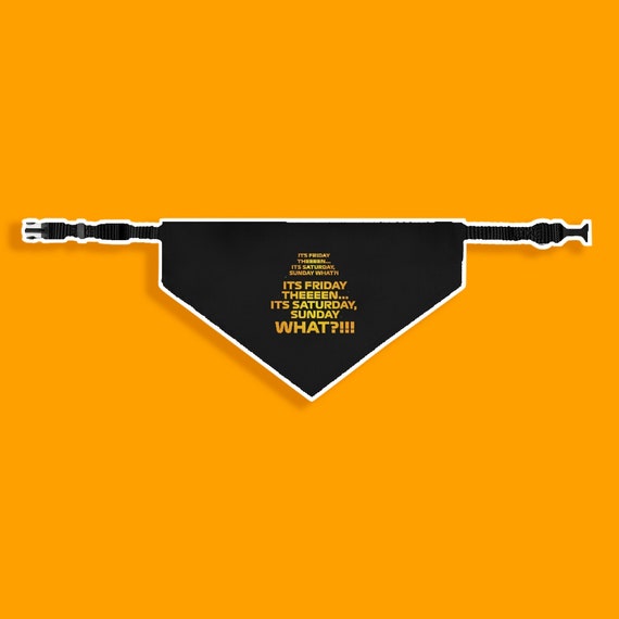 Formula 1 store dog collar