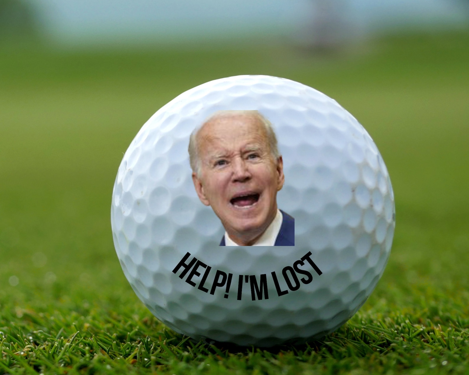 Help I'm Lost Joe Biden Golf Ball Funny Joe Biden Golf Etsy