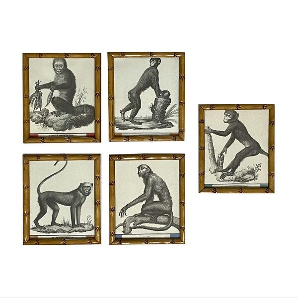 Set of Small Vintage Faux Bamboo Effect Frame Handcrafted in Italy in Carved Wood with Baboons Print From 1960, Five Pieces