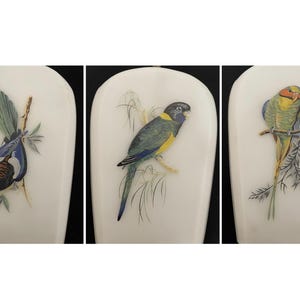 May include: Three white, arched-top decorative panels, each with a different colourful bird illustration. The birds are perched on branches with leaves. The birds have blue, green, yellow, and brown feathers.