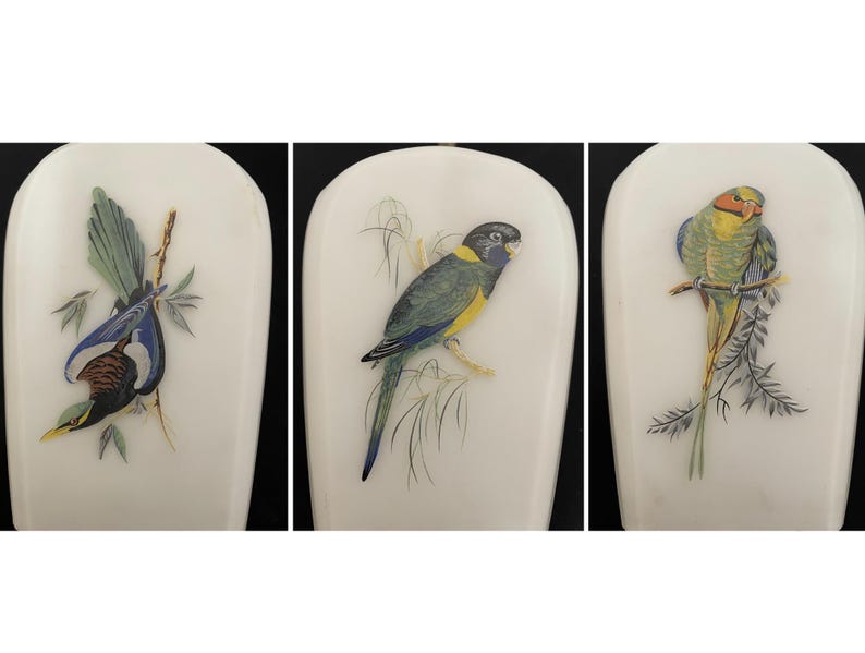 May include: Three white, arched-top decorative panels, each with a different colourful bird illustration. The birds are perched on branches with leaves. The birds have blue, green, yellow, and brown feathers.