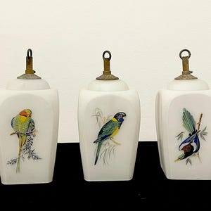 May include: Three white, square decorative jars with brass lids. Each jar has a different colourful bird illustration. The birds are perched on branches with green leaves. The jars are arranged in a row.