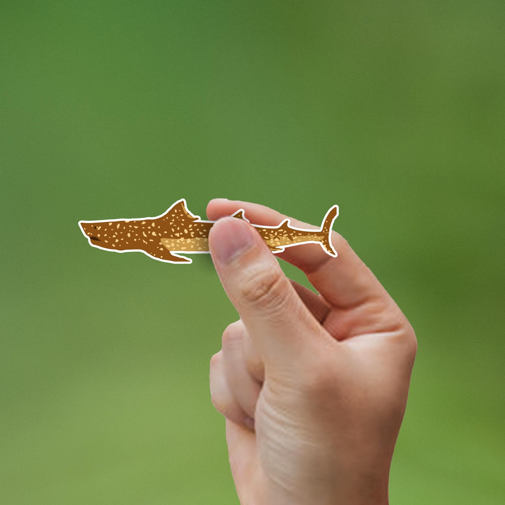 DECAL: Jaguar Shark - Life Aquatic