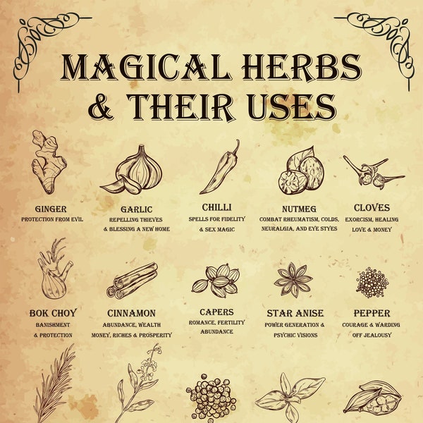 Magical Herbs Poster - Hedge Witch, Garden Witch, Magickal Herbs Poster, Magickal uses for herbs, Herbal magick, herb magick, magic herbs