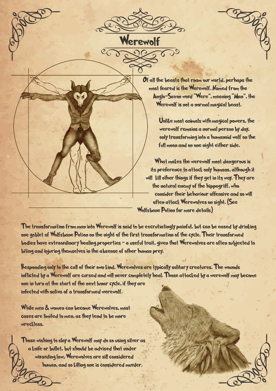 Werewolf Poster Werewolf Anatomy Poster Werewolf Text Book Etsy