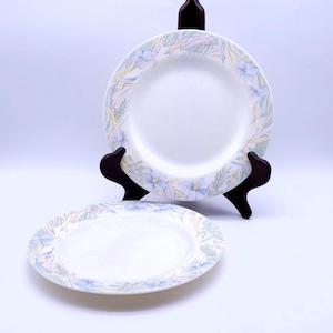 Könnte beinhalten: Zwei weiße Keramikteller mit einem floralen Design in Blautönen, Grün und Gelb. Die Teller haben eine weiße Mitte und einen Rand mit einem floralen Muster.