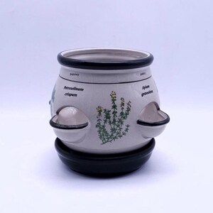 Vintage ceramic spice pot - 4 compartments - pot with drip tray - ceramics - vintage kitchen