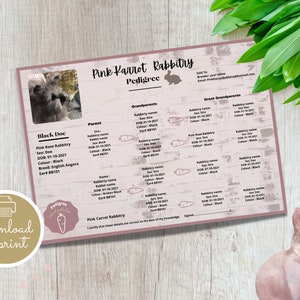 Personalized Custom Rabbit Pedigree Template, Rabbit Pedigree, Breeding Pedigree, Rabbitry Tools, Pedigree Template, Personalized Rabbitry