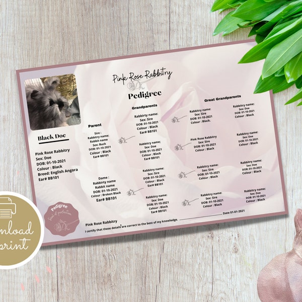 Rabbit Breeding Chart Etsy