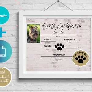 Modèle modifiable de certificat de naissance de chiot Etsy